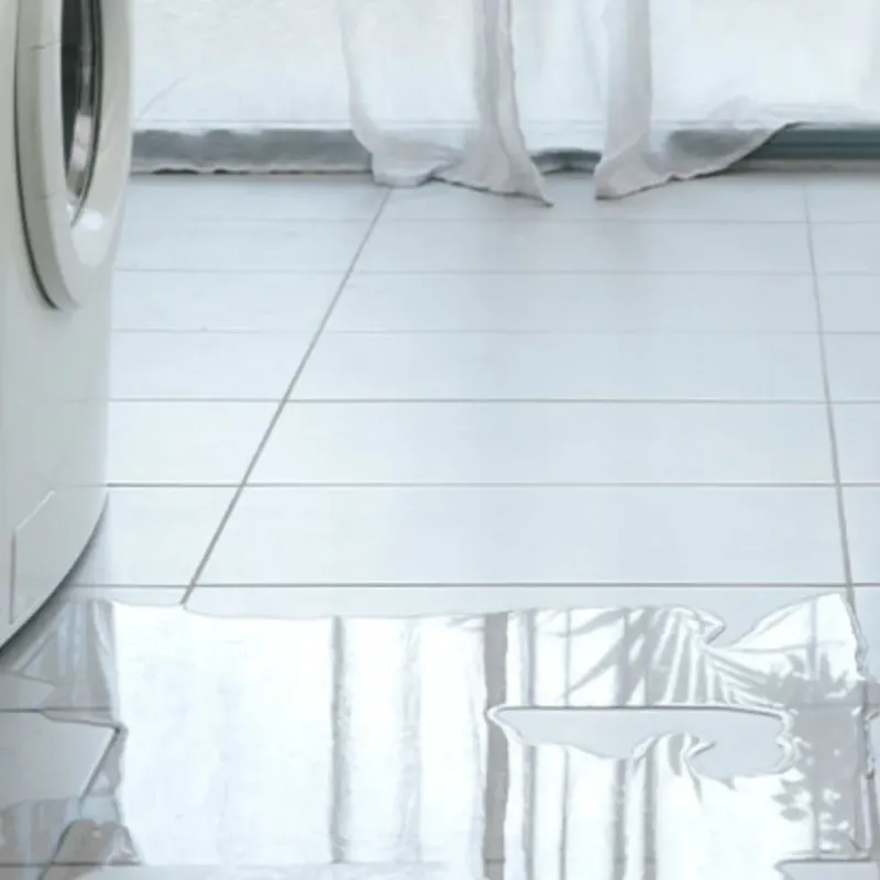 Appliance Leak Cleanup in Burnettown, SC